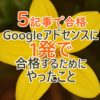 【5記事で合格】Googleアドセンスの審査に1発で受かるためにやったこと