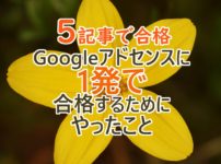 【5記事で合格】Googleアドセンスの審査に1発で受かるためにやったこと